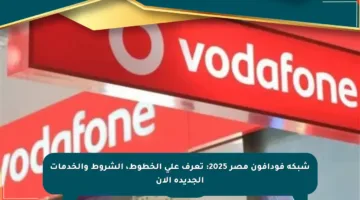 شبكة فودافون مصر 2025: تعرف على الخطوط، الشروط والخدمات الجديدة الآن